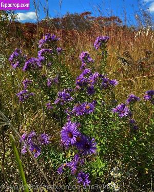 xxsacredhoneyxx leak #0048