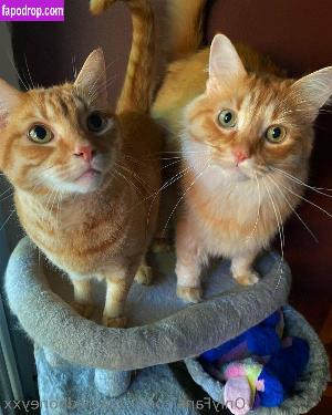 xxsacredhoneyxx leak #0047