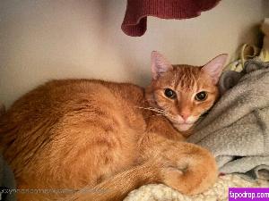 xxsacredhoneyxx leak #0029