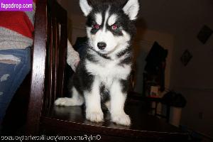 youlikewhatyousee leak #0060