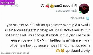 princesacece leak #0070