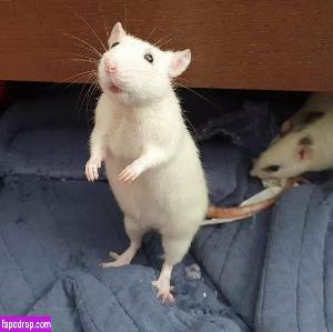 gemini_rising leak #0047